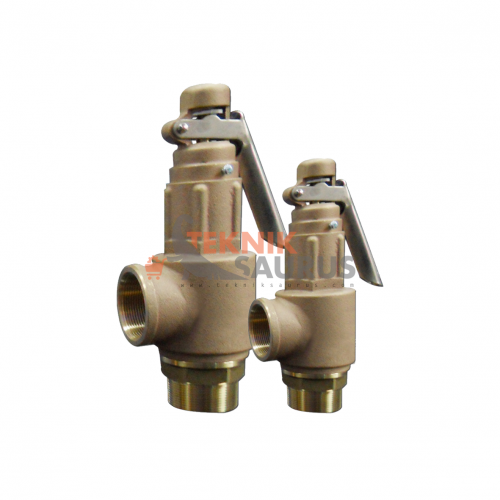 product primary Safety Valve with Lever Tsushima image